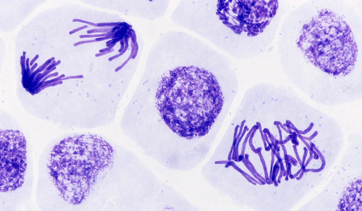 Intimidation Cancels Conversion